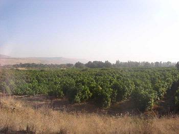 Sabbat-Lesung und Kommentar für den kommenden Schabbat Schlach Lecha – Sende dir