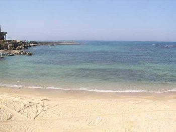 Schabbat Lech Lecha – Ziehe hin – Sabbatlesung und Kommentar