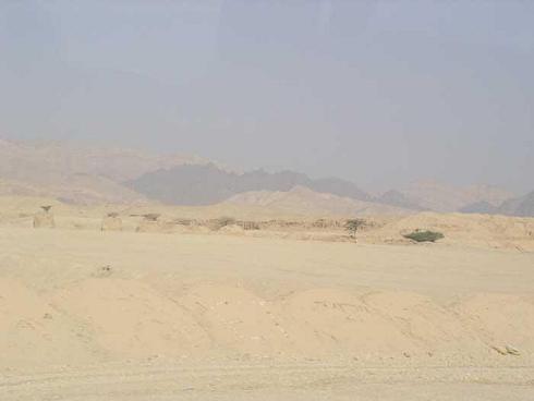 Schabbat BO – Komm – Sabbat-Lesung und Kommentar