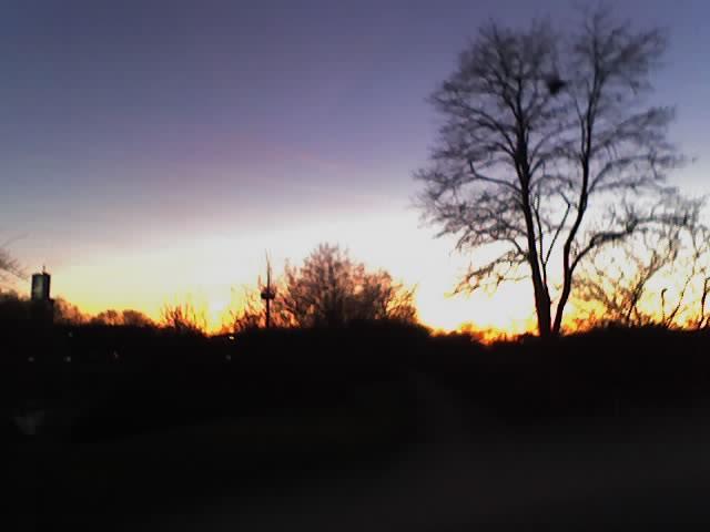 Sabbat-Lesung Schabbat Chol HaMoed – Pessach, Passah