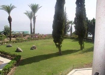 Frühlingsgefühle a la Tu biSchwat