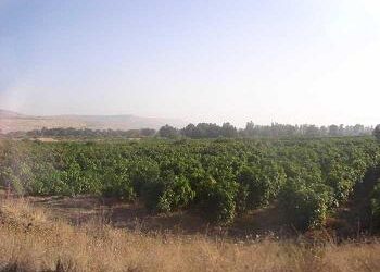 Sabbat-Lesung und Kommentar für den kommenden Schabbat Schlach Lecha – Sende dir