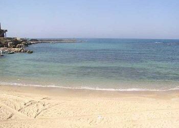 Schabbat Emor Lesungen und Kommentar