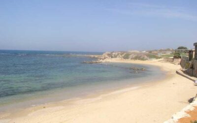 Schabbat Wajischlach Lesungen und Kommentar