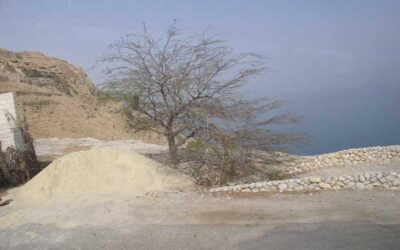 Schabbat MISCHPATIM Lesungen und Kommentar