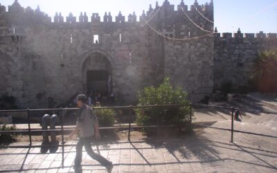 TEZAWEH – VERPFLICHTE EU auf Lauterkeit