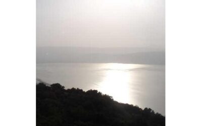 Schabbat Wajischlach Lesungen und Kommentar