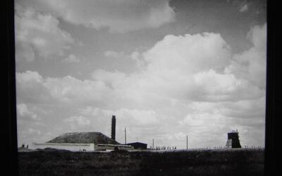 Israel Yaoz – bezüglich Christen für Israel