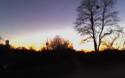 Die Parascha WaJechi Prophetie