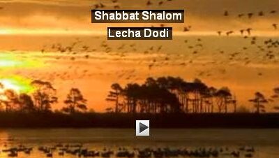 Parascha WaJikra – Schabbatlesung und Kommentar