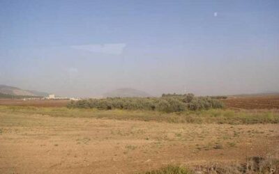 Schabbat BO Lesungen und Kommentar