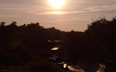 WAERA – Neuwahlen statt Antisemitismus