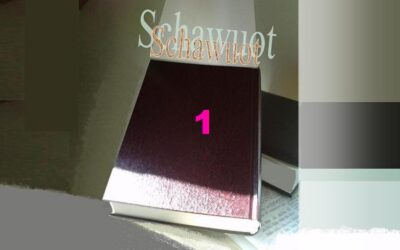 500 Jahre Reformations-Lüge – Schawuot 1