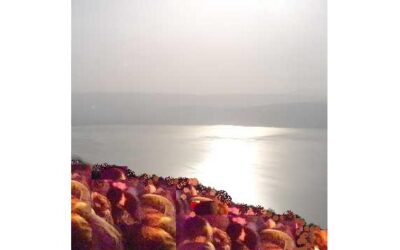 Schabbat Chol HaMoed Lesungen und Kommentar