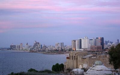 Ägyptischer Frühling mitten in Deutschland