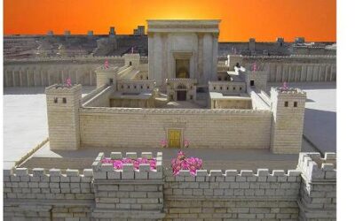 WaJechi – Prophetie über CDU-SPD Deutsche