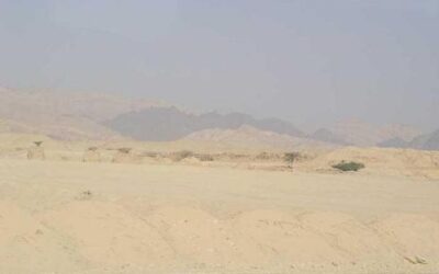 WAERA: Statt GOTT ERSCHIEN Europa