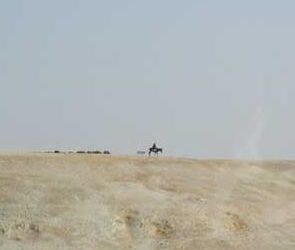 Schabbat BaMidbar Lesungen und Kommentar