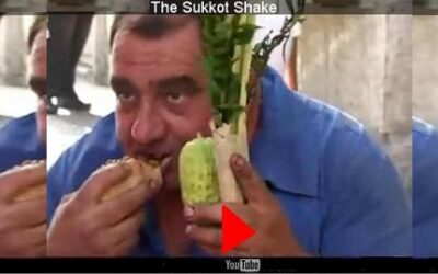 Laubhüttenfest Sukkot Lesung und Kommentar